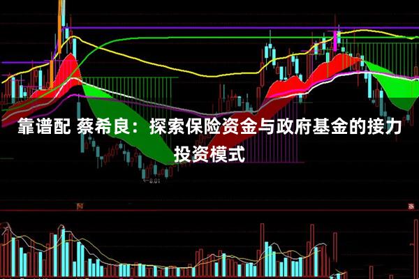 靠谱配 蔡希良：探索保险资金与政府基金的接力投资模式