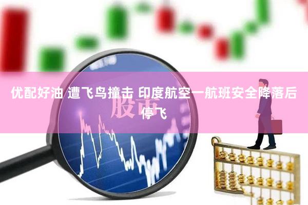 优配好油 遭飞鸟撞击 印度航空一航班安全降落后停飞