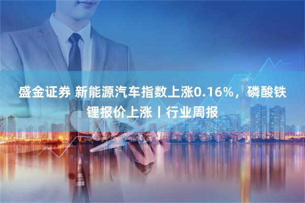 盛金证券 新能源汽车指数上涨0.16%，磷酸铁锂报价上涨丨行业周报