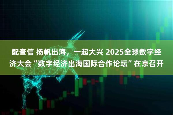 配查信 扬帆出海，一起大兴 2025全球数字经济大会“数字经济出海国际合作论坛”在京召开