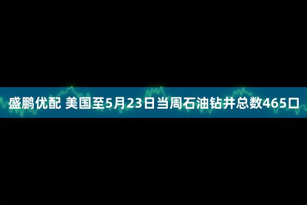 盛鹏优配 美国至5月23日当周石油钻井总数465口
