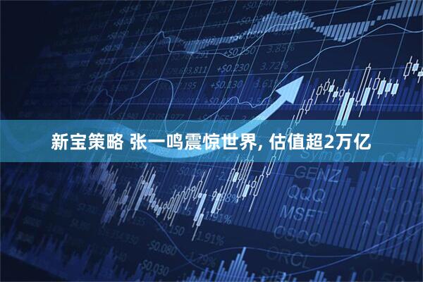 新宝策略 张一鸣震惊世界, 估值超2万亿