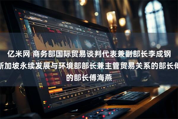 亿米网 商务部国际贸易谈判代表兼副部长李成钢会见新加坡永续发展与环境部部长兼主管贸易关系的部长傅海燕